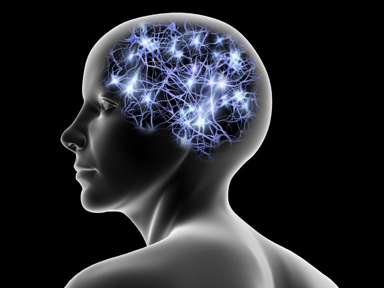 Conexión sináptica neuronal: El intrincado tejido de la comunicación en el cerebro