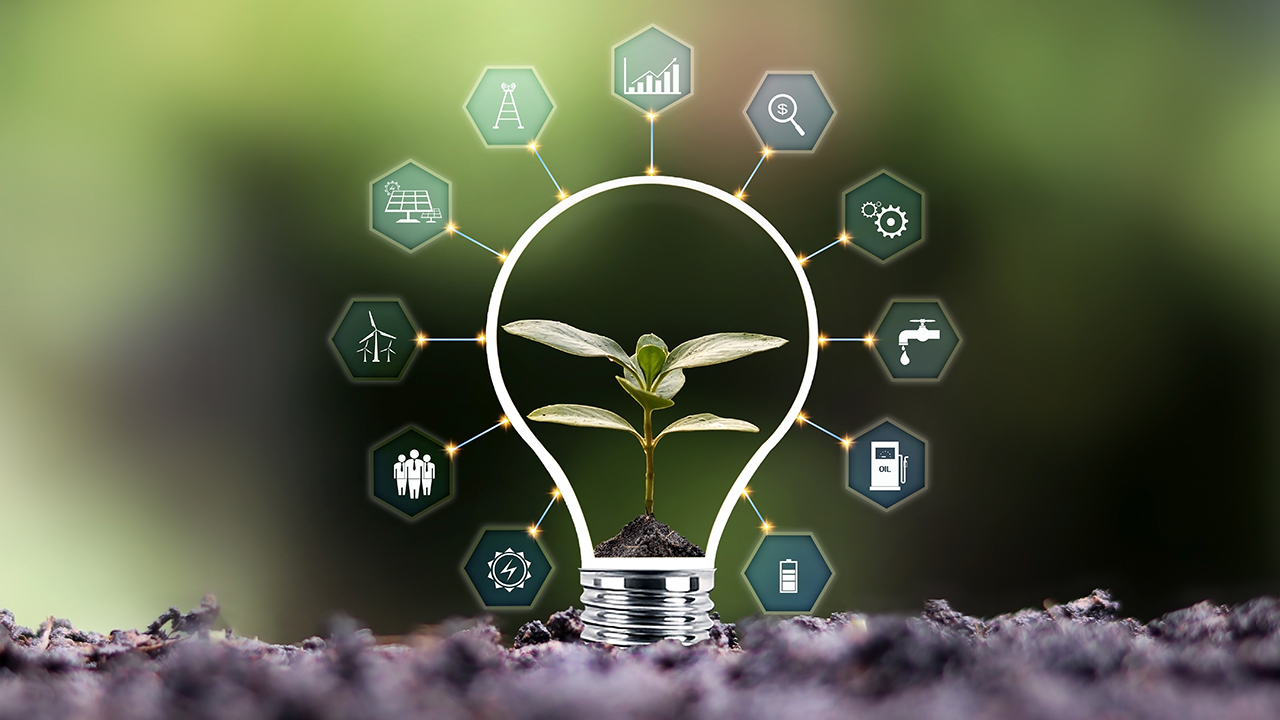 Sostenibilidad y Tecnología: Innovaciones Verdes en el Sector Empresarial