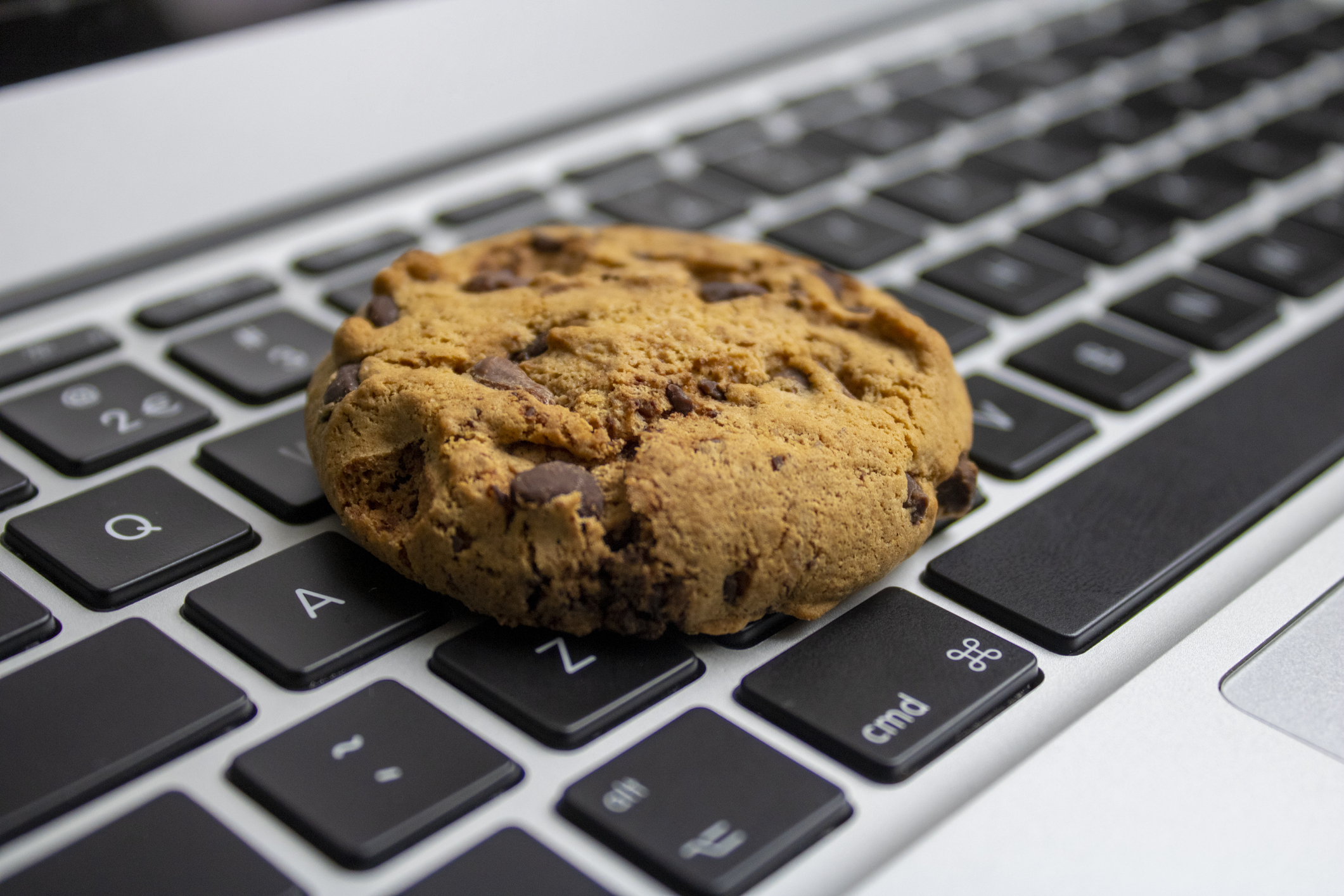 Las Cookies en Tecnología: Un Vistazo a su Importancia y Evolución